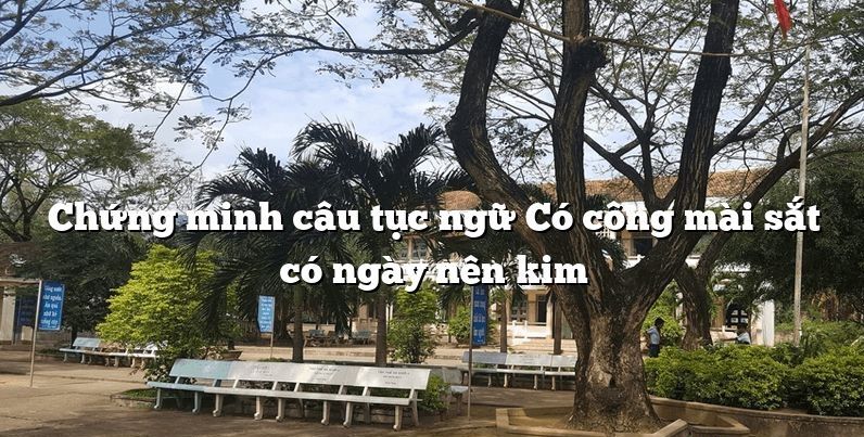 Ảnh minh họa (Nguồn internet)