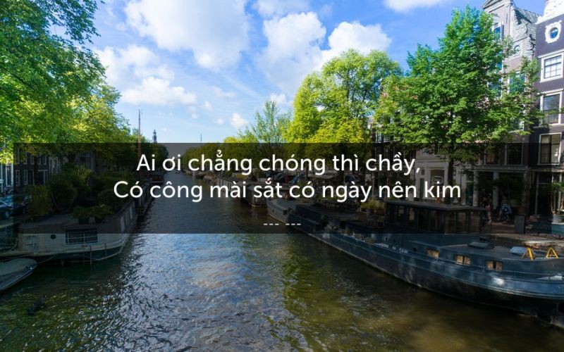 Chứng minh câu tục ngữ có công mài sắt có ngày nên kim ngắn nhất