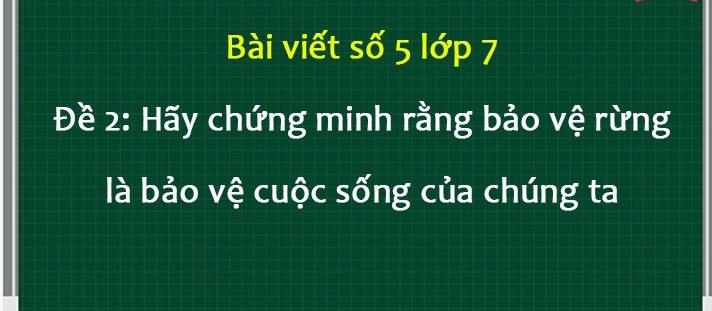 Ảnh minh họa (Nguồn internet)