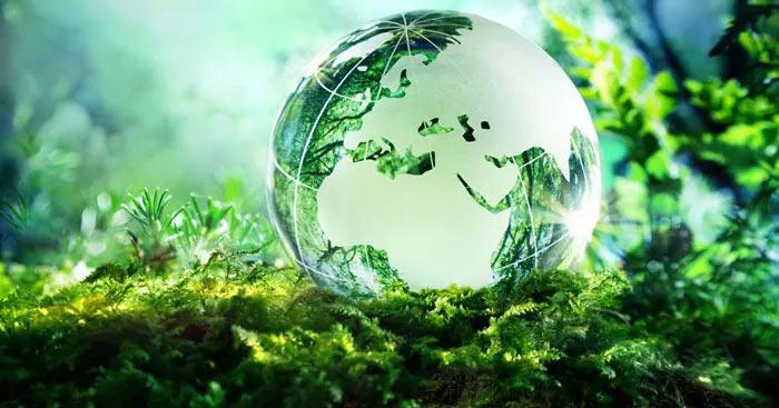 bài văn nghị luận về một vấn đề cần giải quyết con người trong mối quan hệ tự nhiên - mẫu 1