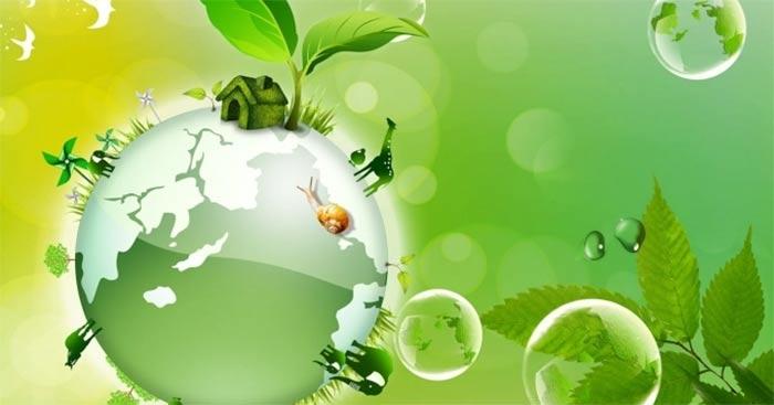 bài văn nghị luận về một vấn đề cần giải quyết con người trong mối quan hệ tự nhiên - mẫu 3