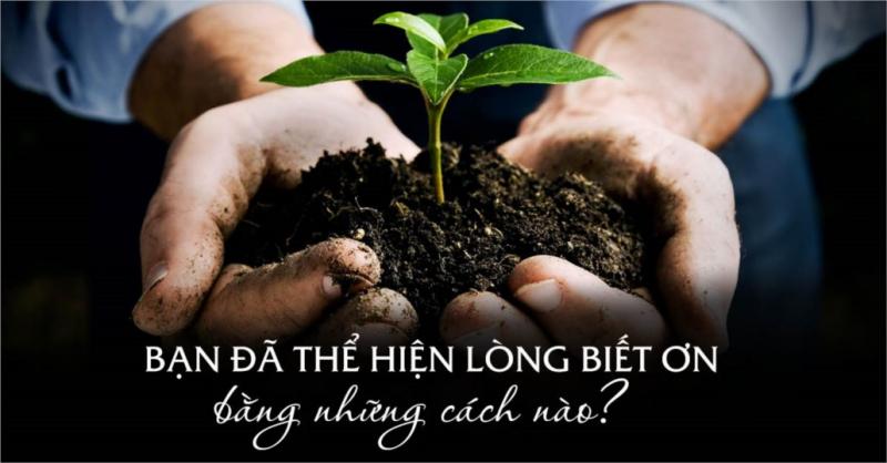 Bài văn nghị luận xã hội về lòng biết ơn số 2