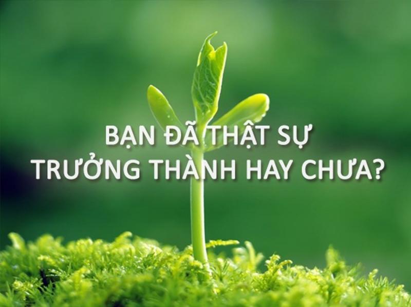 Bài văn nghị luận xã hội về sự trưởng thành số 2