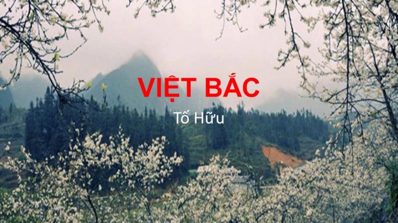 Bài tham khảo số 5