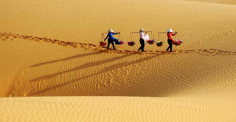 Top 10 Bài văn phân tích tác phẩm "Bài ca ngắn đi trên bãi cát" của Cao Bá  Quát - Toplist.vn
