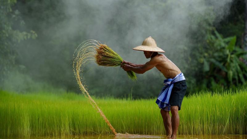 Bài văn phân tích tác phẩm 