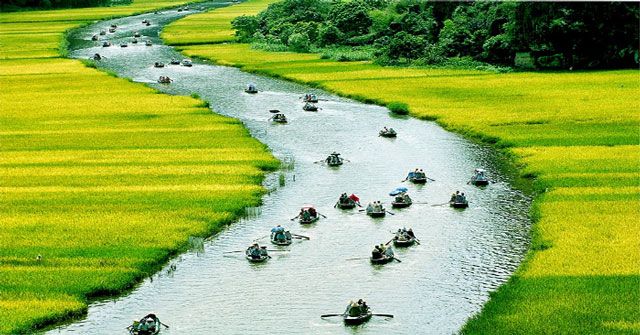 Bài văn phân tích tác phẩm 