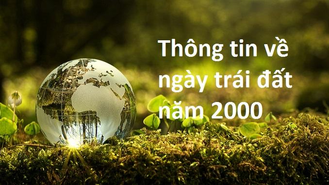 Ảnh minh họa (Nguồn internet)