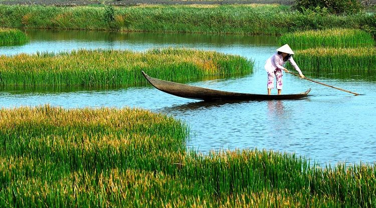 Bài văn phát biểu cảm nghĩ bài 