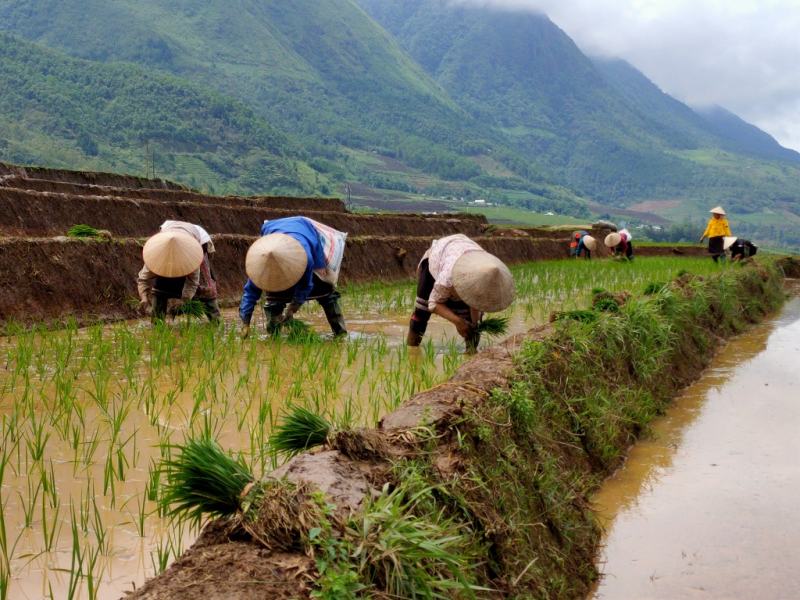 Bài văn tả bác nông dân số 10