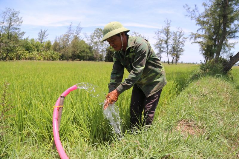 Bài văn tả bác nông dân số 8