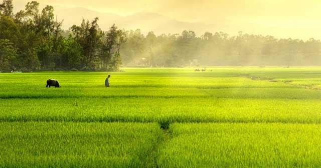 Tả cảnh đẹp: Vô số cảnh đẹp tựa như tranh vẽ trên đất nước Việt Nam. Hãy cùng ngắm nhìn những đồi núi, rừng rậm và vườn hoa tuyệt đẹp. Bạn sẽ bị mê hoặc bởi sự tươi đẹp tự nhiên trong tả cảnh đẹp này.
