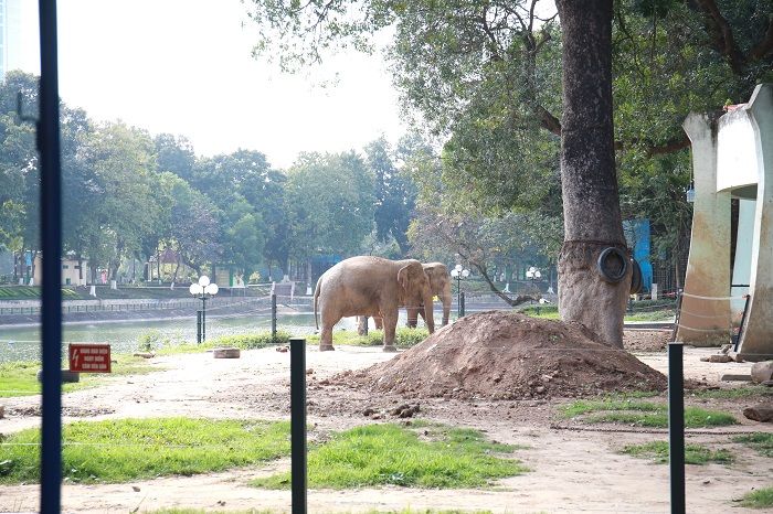 Bài văn tả cảnh vườn bách thú hay nhất số 3