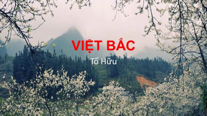 Bài văn cảm nhận khổ thơ thứ 7 trong tác phẩm 