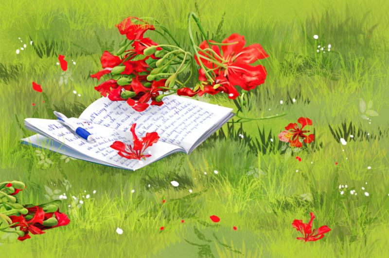 Vẽ hoa Phượng bằng phấn  How to draw phoenix flower  Handwriting board   YouTube