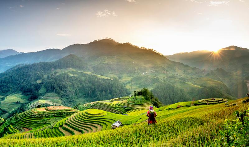 Bài văn thuyết minh về ruộng bậc thang Mù Cang Chải - Bài số 7