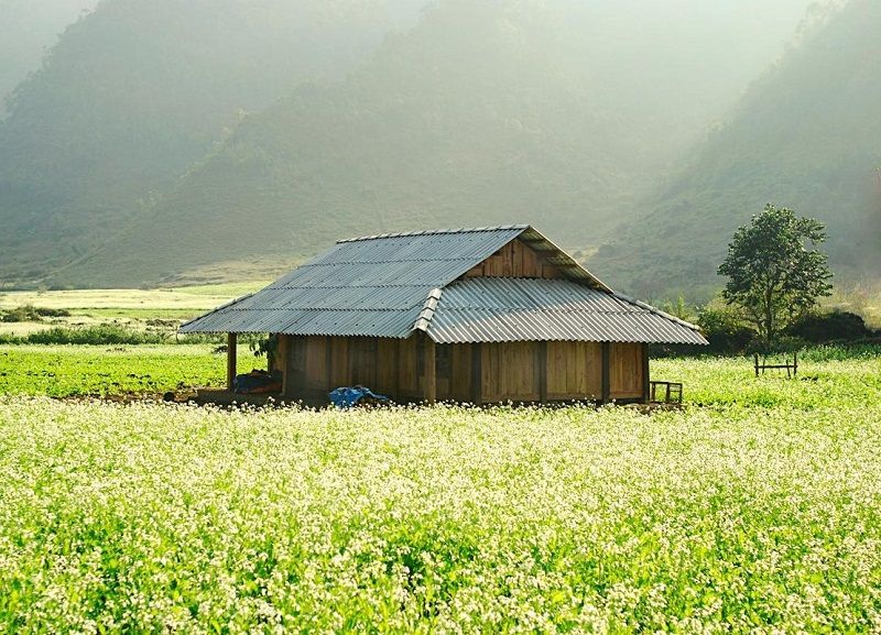 Bản Thung Cuông (Thông Cuông)