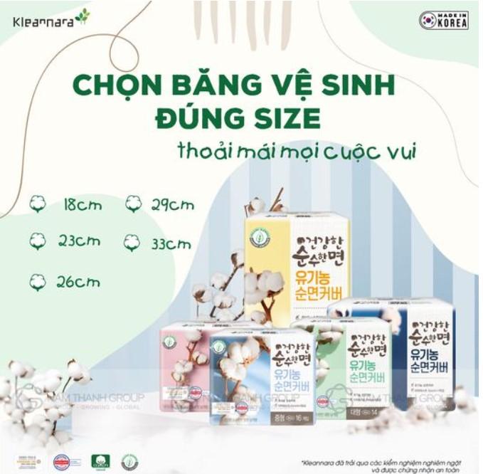 Băng vệ sinh Kleannara Geonganghan Organic