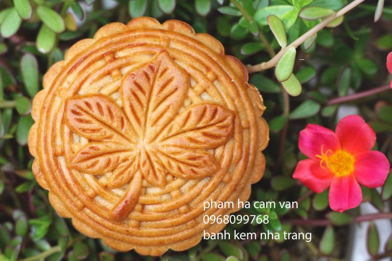 Bánh Kem Nha Trang