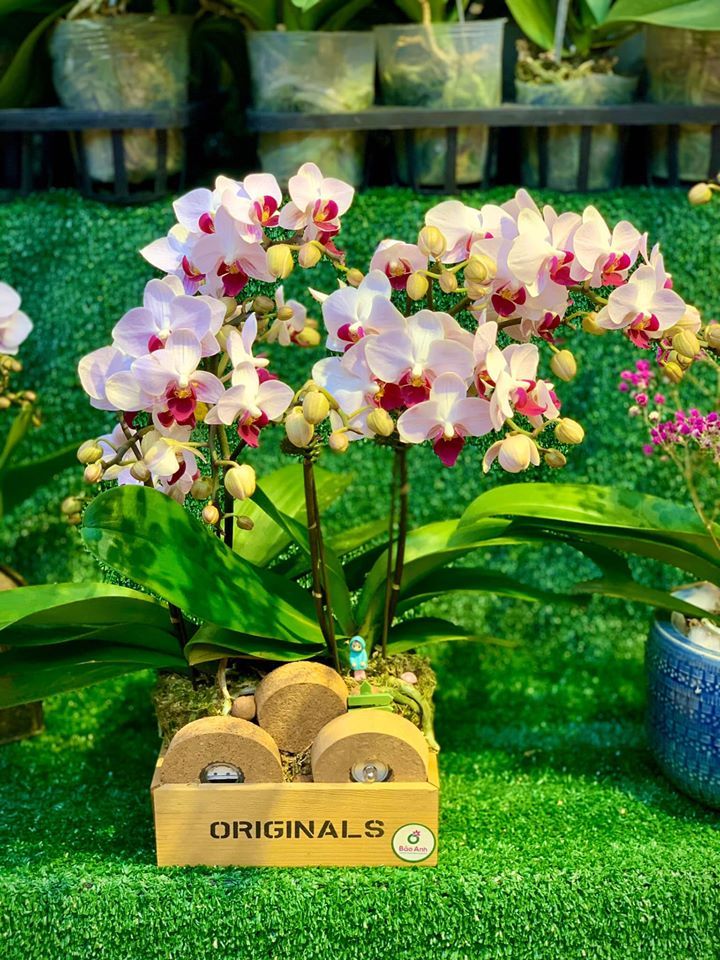 Top 5 shop hoa tươi đẹp nhất quận 7, TP. HCM