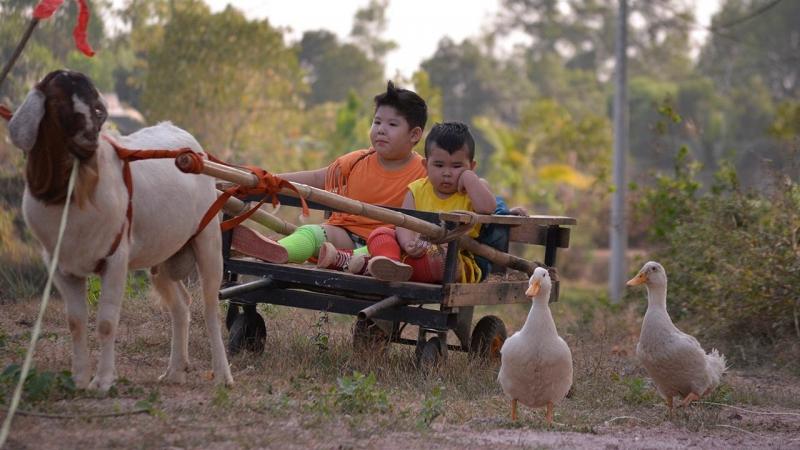 Phim hài Việt Nam chiếu rạp hay nhất 2016