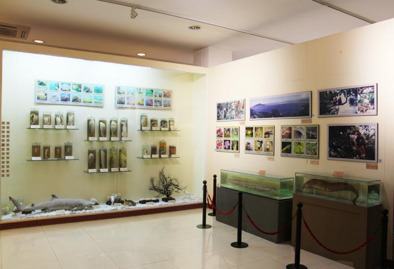 Bảo tàng Đà Nẵng