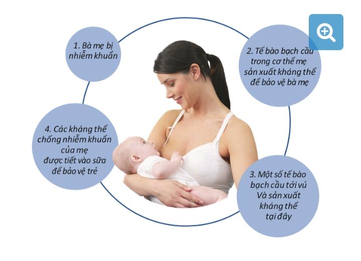 Trẻ bú sữa mẹ sẽ ít bị nhiễm khuẩn