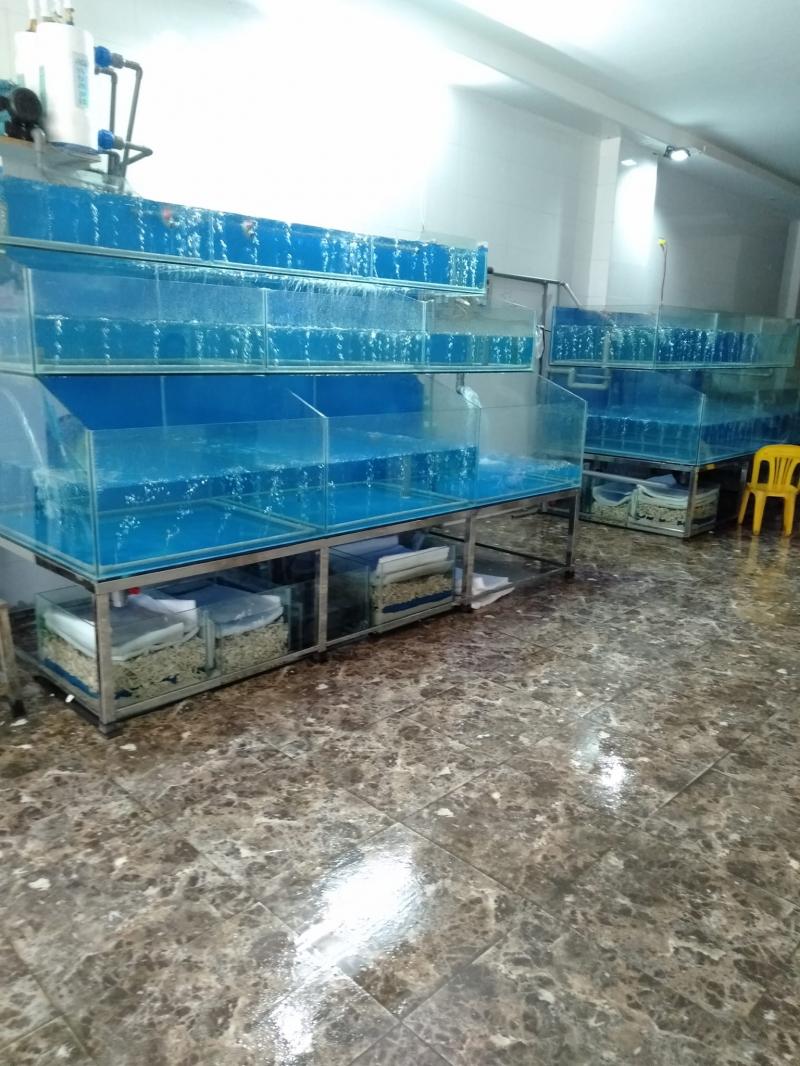 Bể cá hải sản Chung Anh