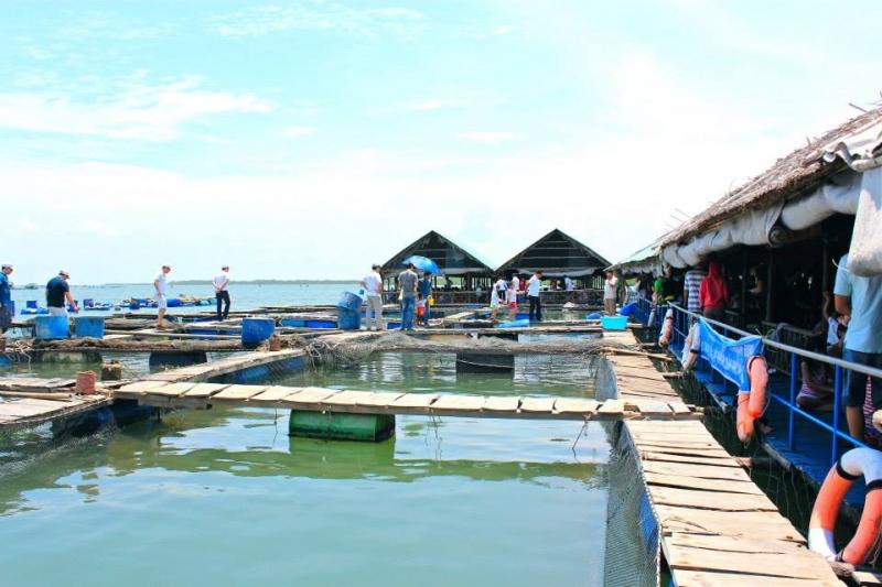 Bè Hào Đực Nhỏ