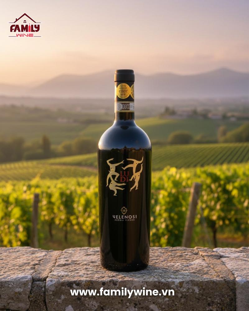 Beer & Wine - Familywine.vn Can Tho