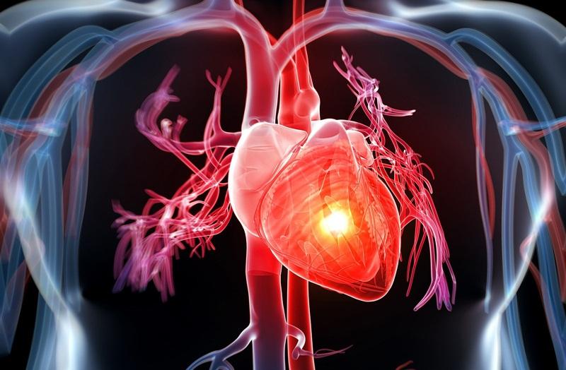 Bệnh tim được coi như 1 trong những căn bệnh hàng đầu có thể chữa khỏi chỉ bằng cách làm 