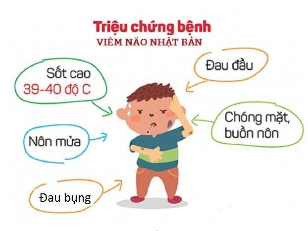 Bệnh viêm não Nhật Bản thường xuất hiện chủ yếu trong mùa hè