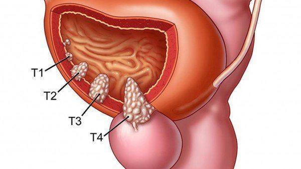 Bệnh viện đa khoa Quốc tế Thu Cúc