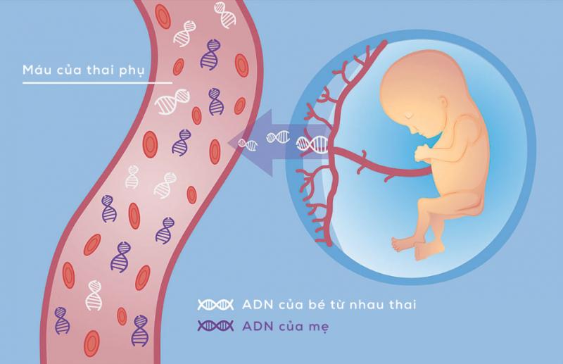 Bệnh viện Đa khoa Quốc tế Vinmec