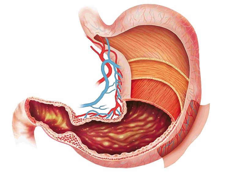 Bệnh viện Nguyễn Tri Phương