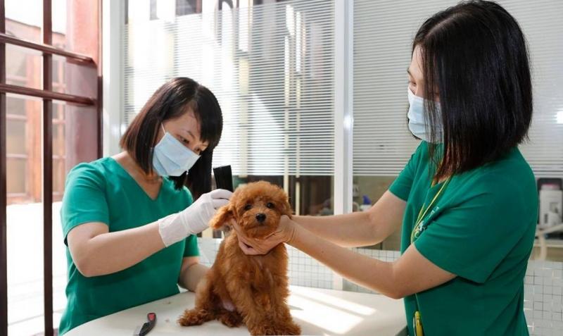 Bệnh viện Petcare An Việt