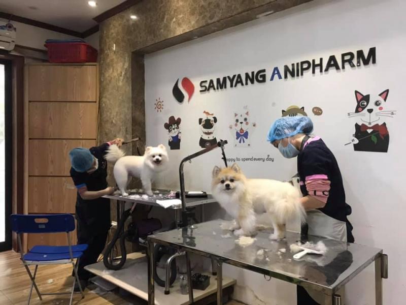 Bệnh viện Samyang Animal Clinic