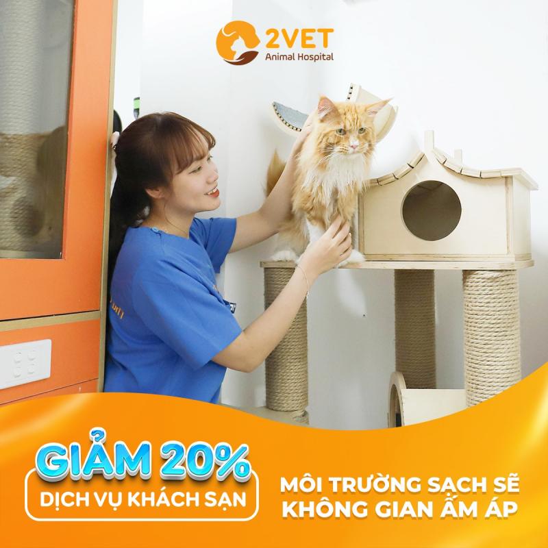 Bệnh viện thú y 2Vet