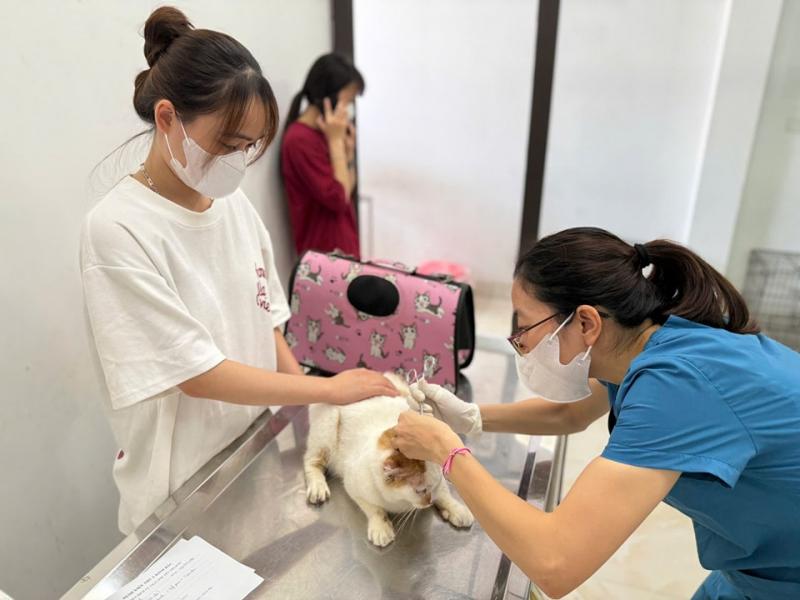 Bệnh viện thú ý Kinh Bắc Từ Sơn