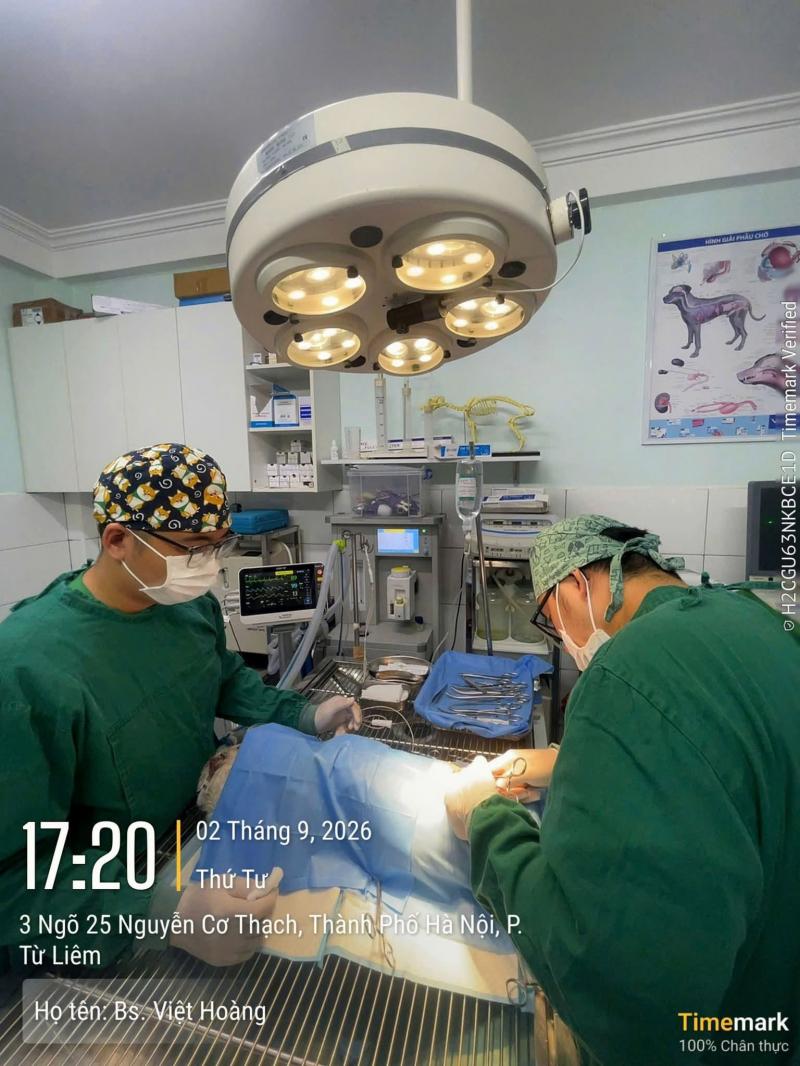 Bệnh Viện Thú Y Mỹ Đình
