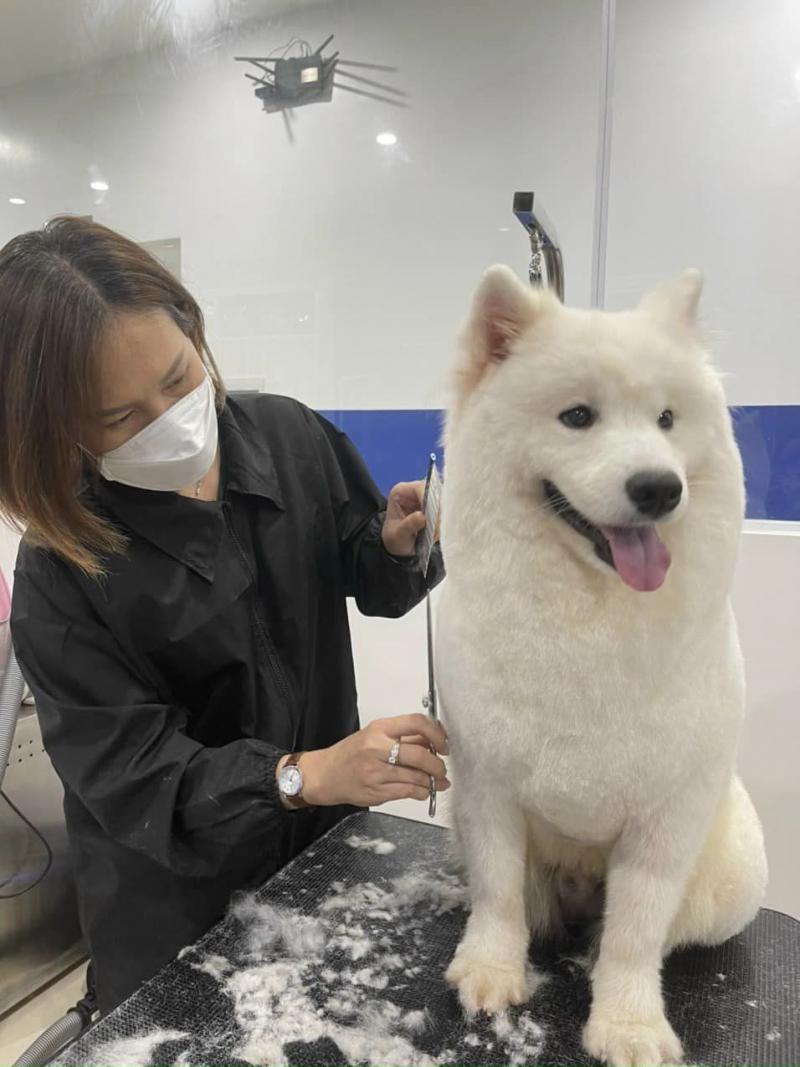 Bệnh Viện Thú Y Pet Health Centre