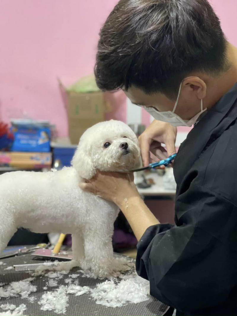 Bệnh Viện Thú Y Pet Health Centre