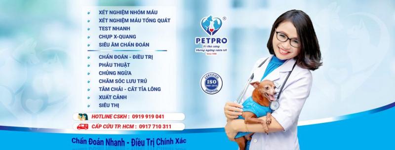 Bệnh  Viện Thú Y Pet - Pro