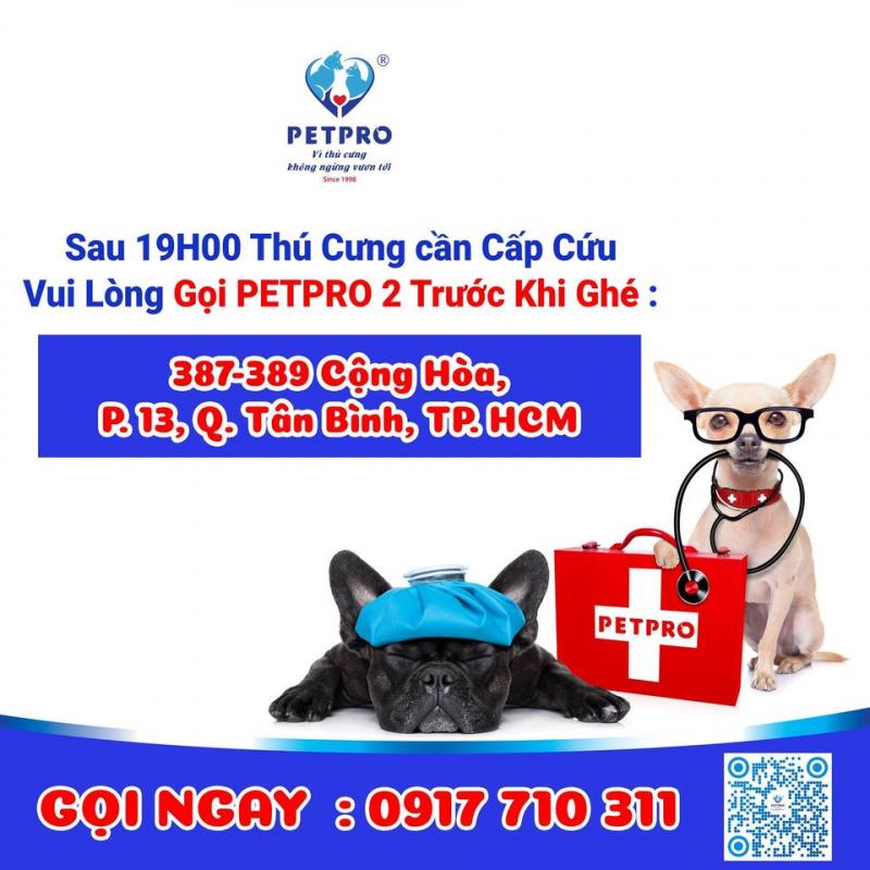 Bệnh  Viện Thú Y Pet - Pro