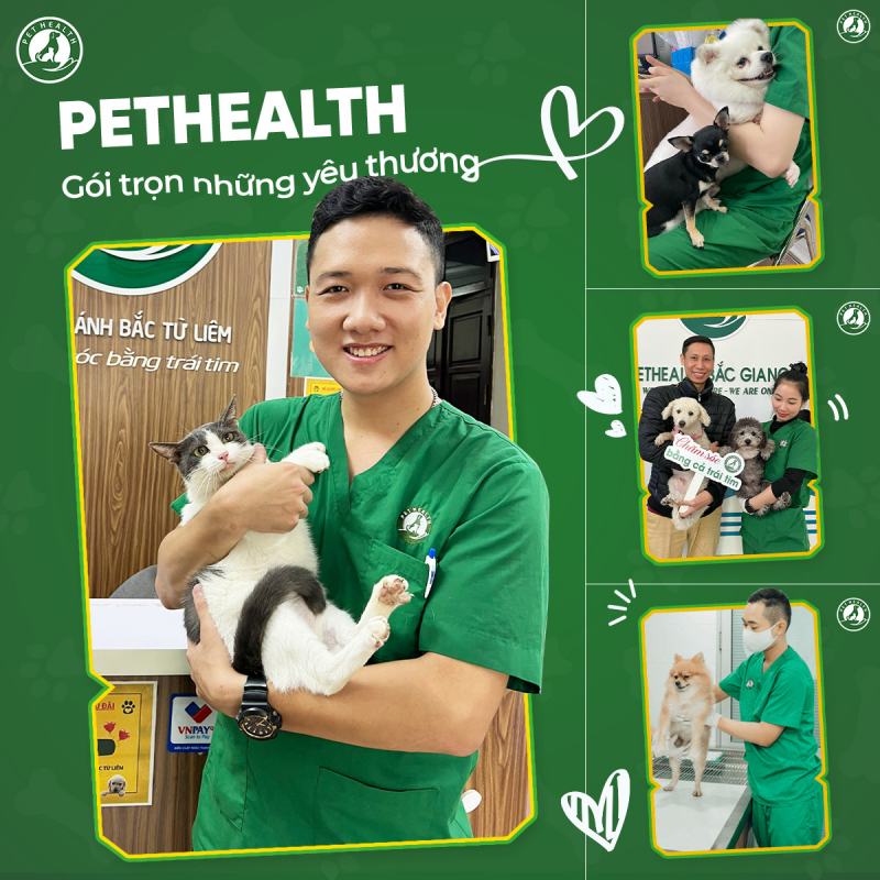 Bệnh viện thú y PetHealth