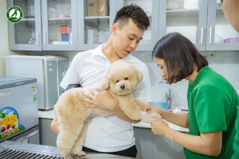 Bệnh viện Thú Y PetHealth