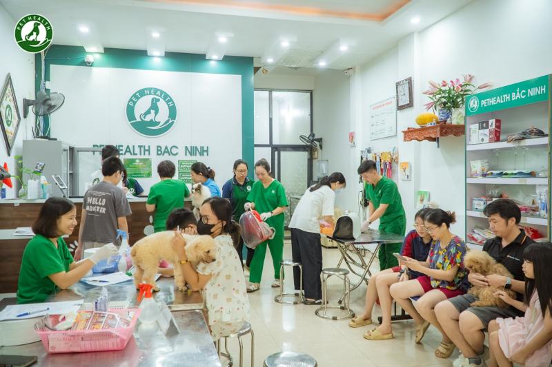 Bệnh viện Thú Y PetHealth