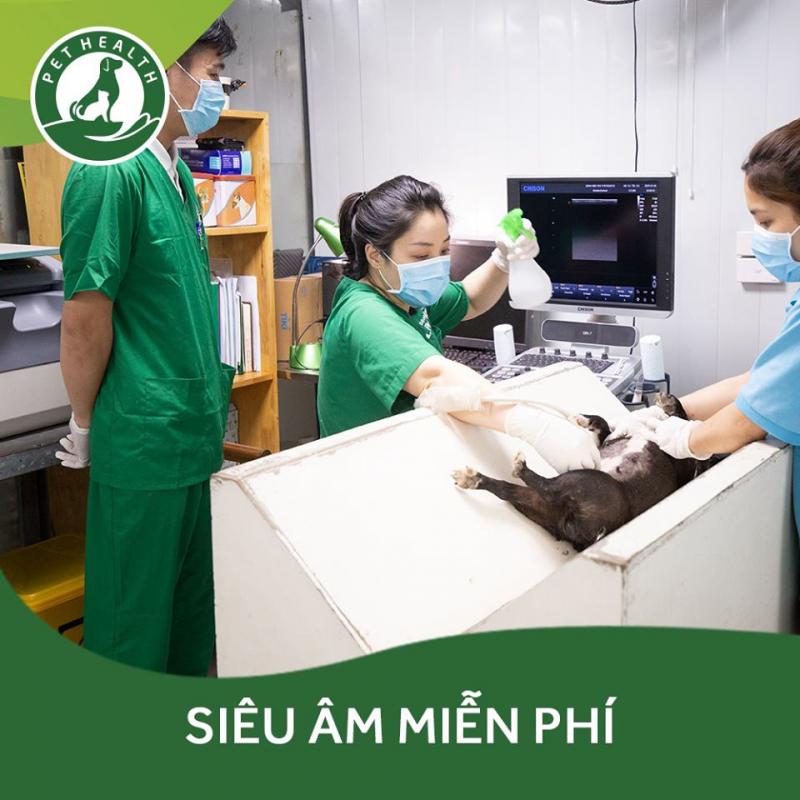 Bệnh Viện Thú Y PetHealth