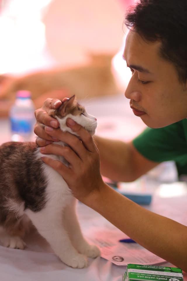 Bệnh Viện Thú Y PetHealth