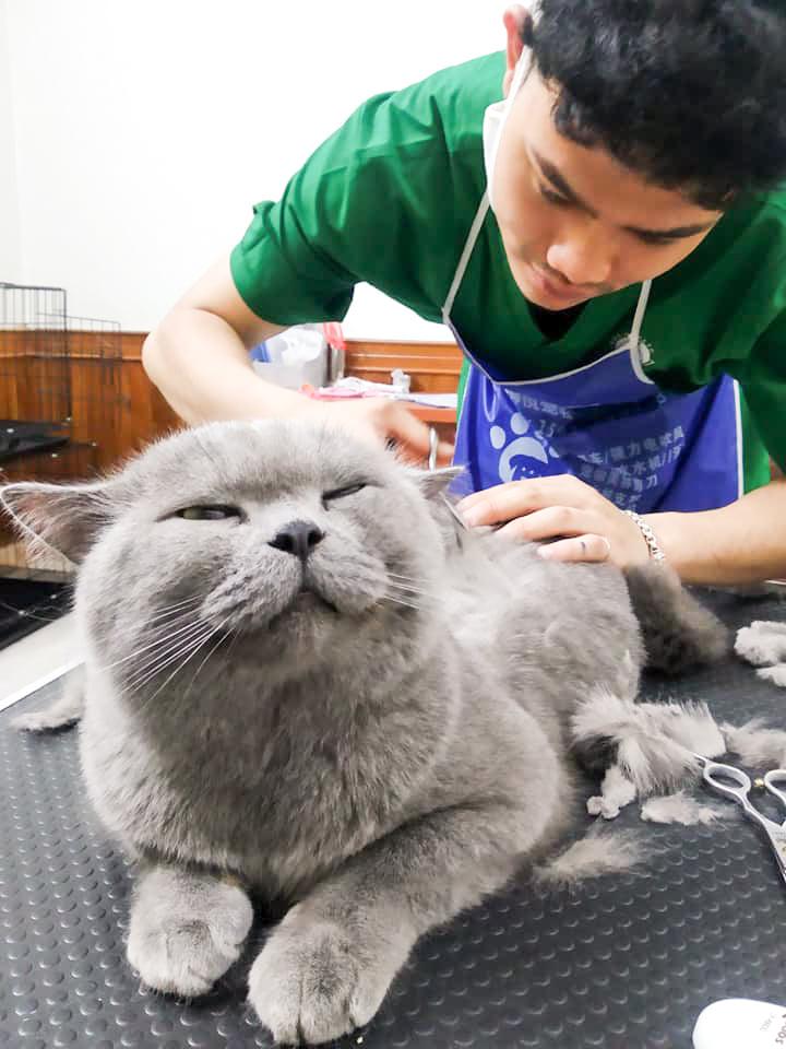 Bệnh Viện Thú Y PetHealth